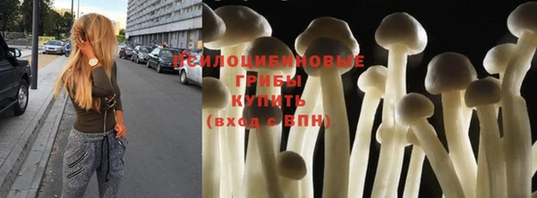 спиды Горняк