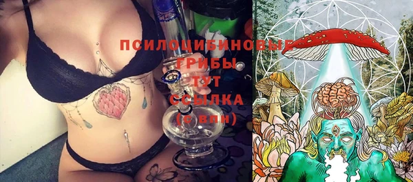 спиды Горняк