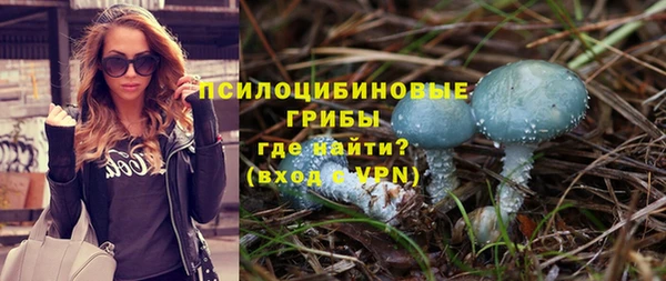 бутират Горно-Алтайск