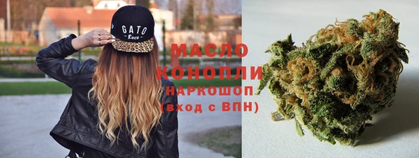 спиды Горняк
