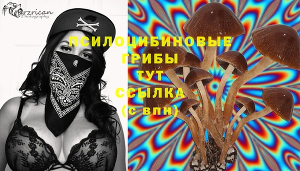 бутират Горно-Алтайск