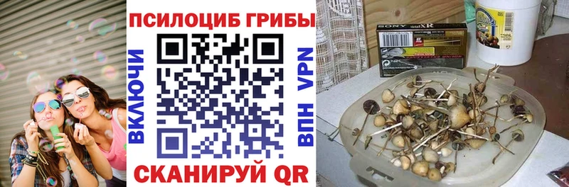 Галлюциногенные грибы Magic Shrooms  Купить где  Наро-Фоминск 